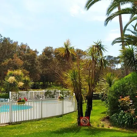 Apartamento Location D Armelle -