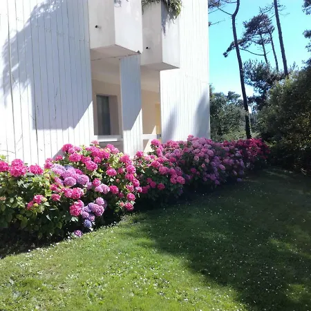 아파트 Location D Armelle - *