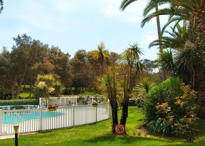 Apartment Location D Armelle -