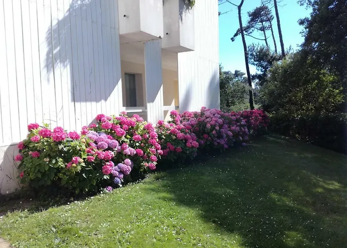 Apartment Location D Armelle - *